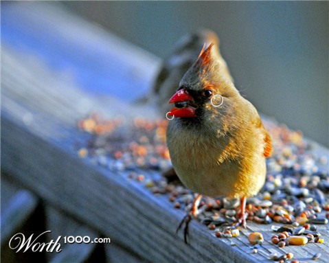 Photoshop Design by vramos11