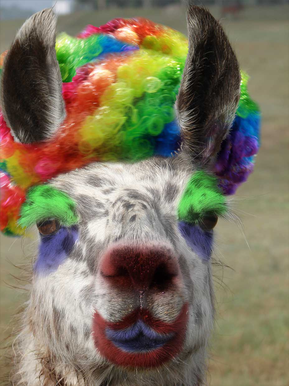 Photoshop-Design von scrillagetter für DesignCrowd (Community Contests) | Design #8985536