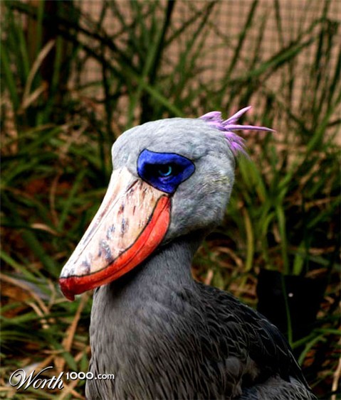 Photoshop Design by DimDag