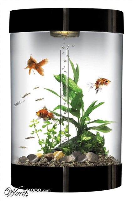 Photoshop Design by jaysin777