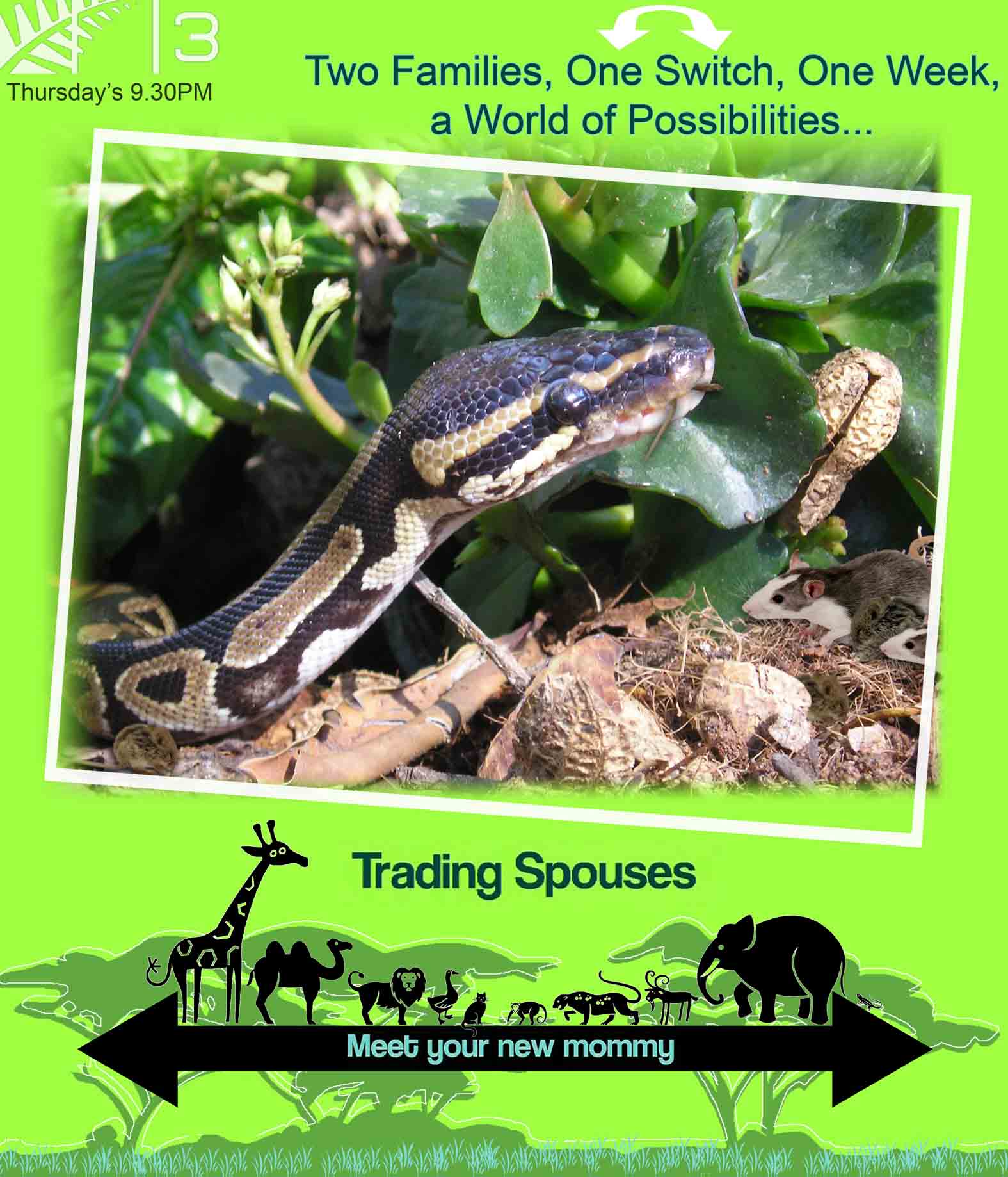 Photoshop Design by Leasemichelle for DesignCrowd (Community Contests) | Design #8986146