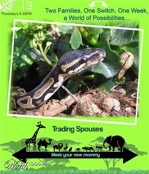 Photoshop Design by Leasemichelle