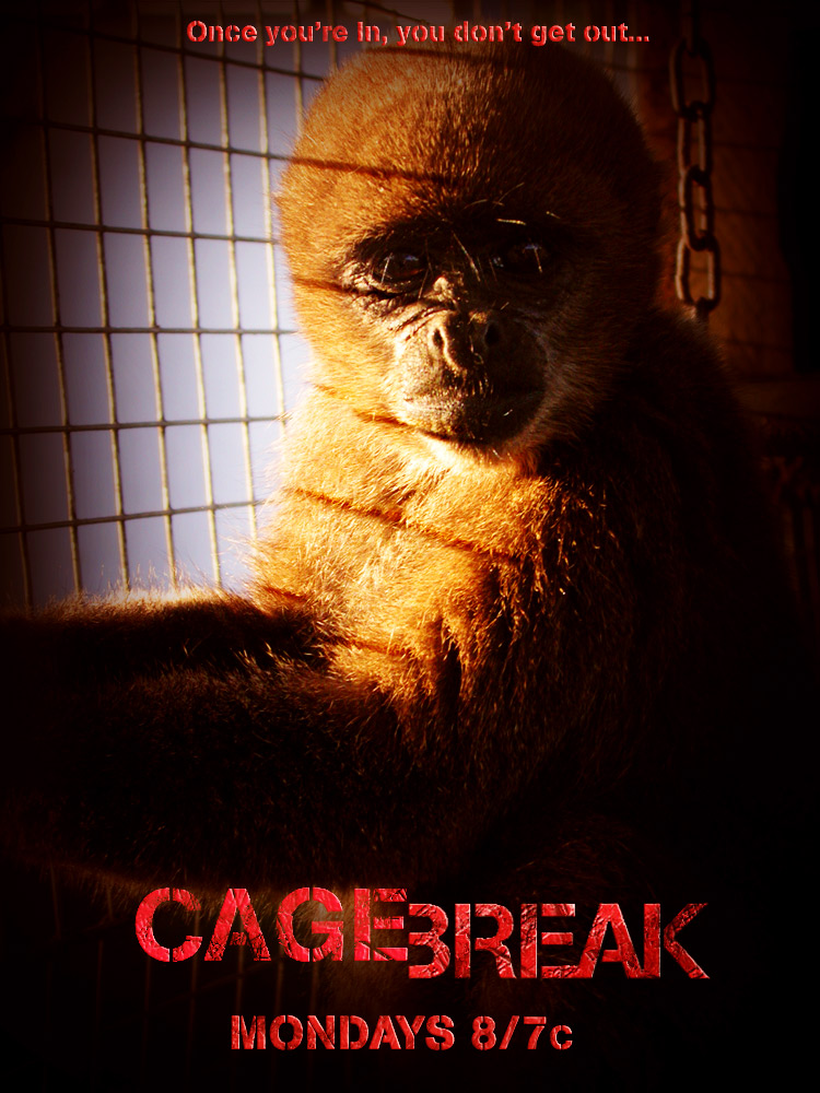 Photoshop Design by LordPAK for DesignCrowd (Community Contests) | Design #8986133