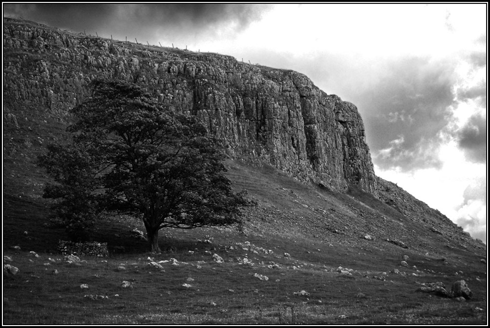 Photographie par thenegativeone pour DesignCrowd (Community Contests) | Design #8985996