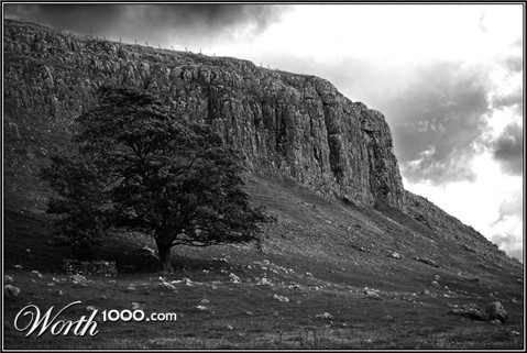 Photography by thenegativeone