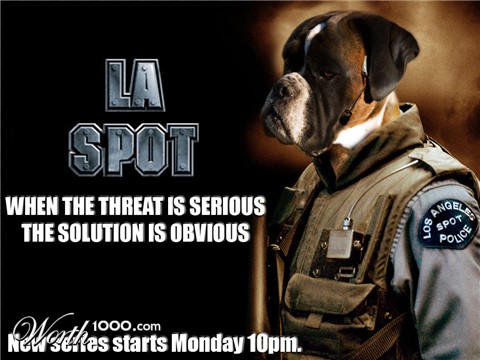 Photoshop Design by Bejeezus