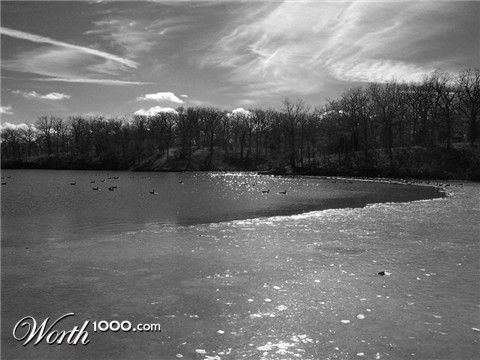 Photography by doodle1589