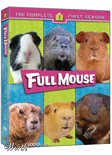 Photoshop Design by Shayml