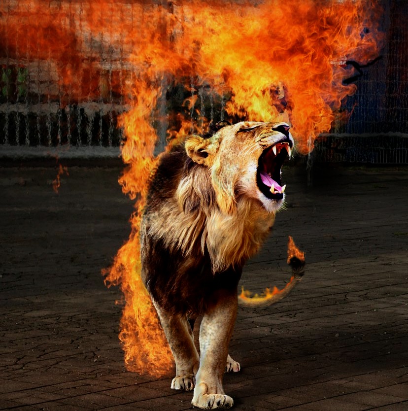 Photoshop-Design von cleareyes für DesignCrowd (Community Contests) | Design #8981668