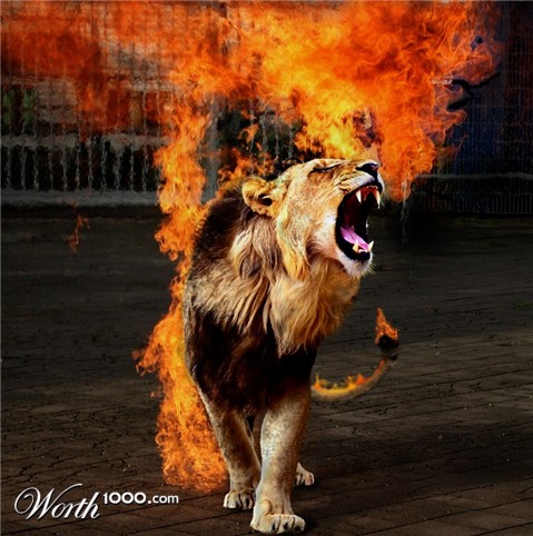 Photoshop Design by cleareyes