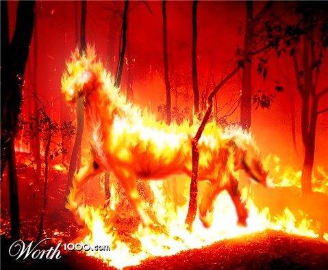 Photoshop Design by Pasukun