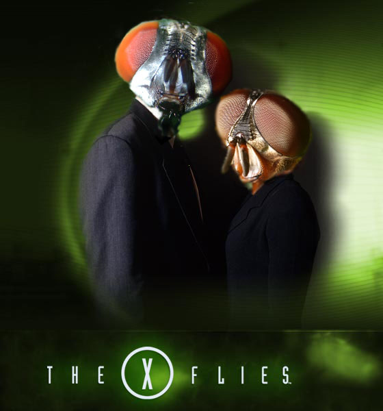 Diseño de Photoshop por Schlackorama para DesignCrowd (Community Contests) | Diseño #8986228