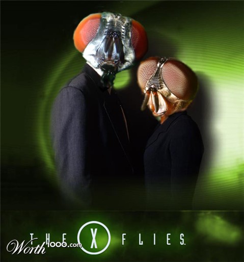 Photoshop Design by Schlackorama