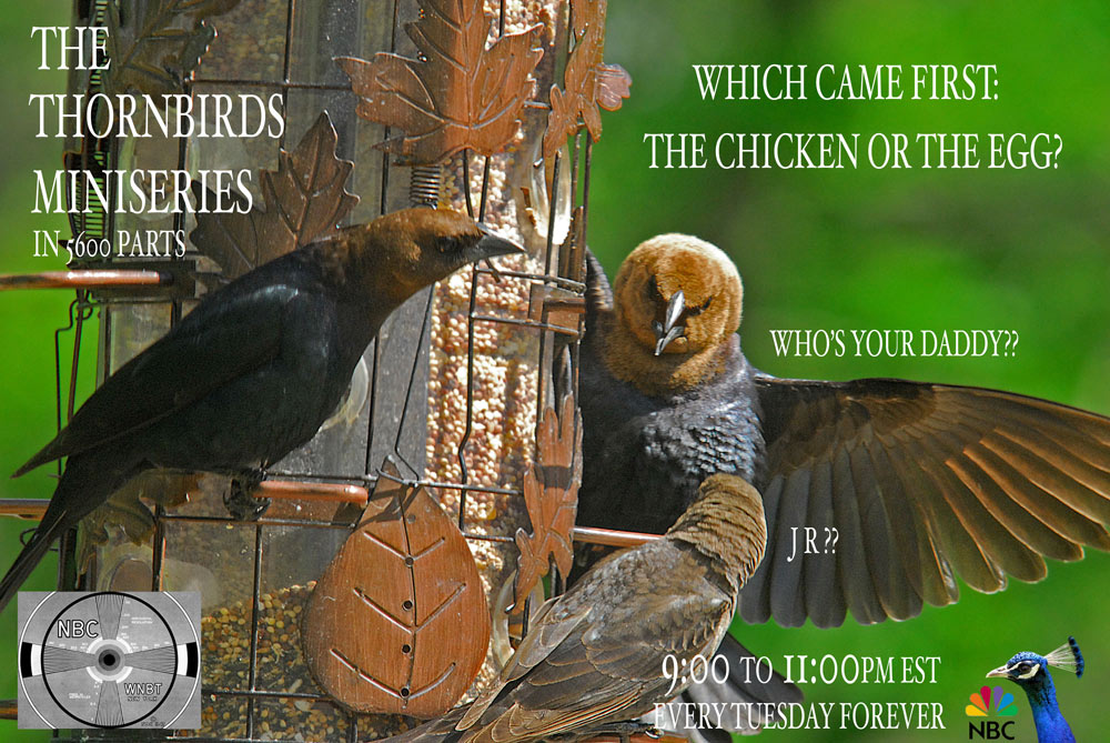 Photoshop Design by vramos11 for DesignCrowd (Community Contests) | Design #8986274