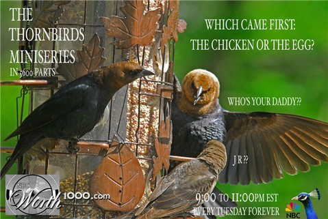 Photoshop Design by vramos11