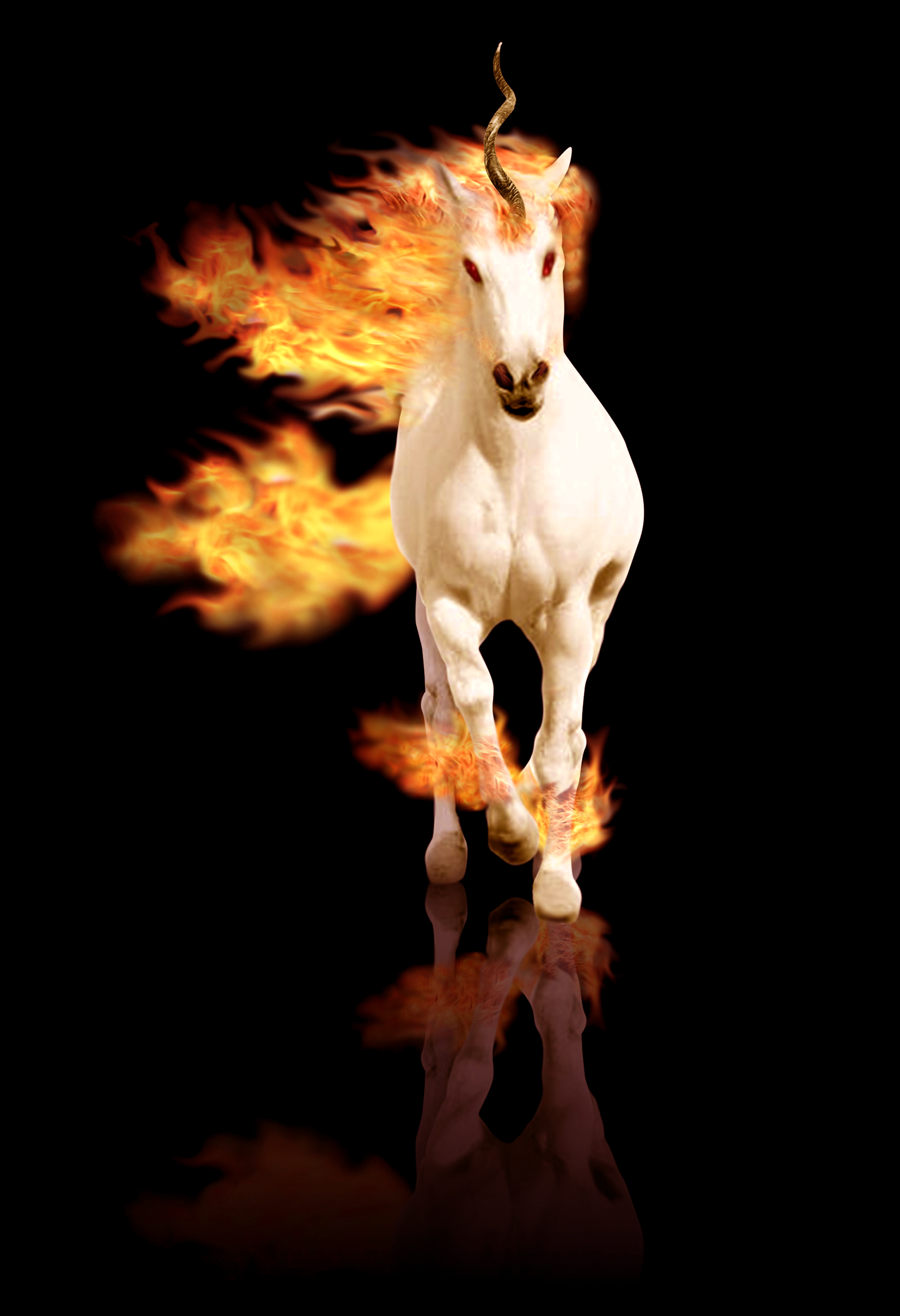 Photoshop Design by Fierro for DesignCrowd (Community Contests) | Design #8981794