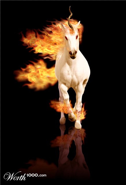Photoshop Design by Fierro