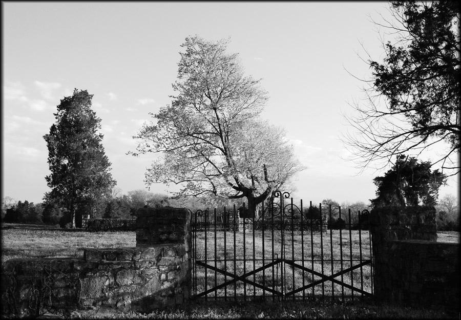 Fotografie von br0cam für DesignCrowd (Community Contests) | Design #8986093