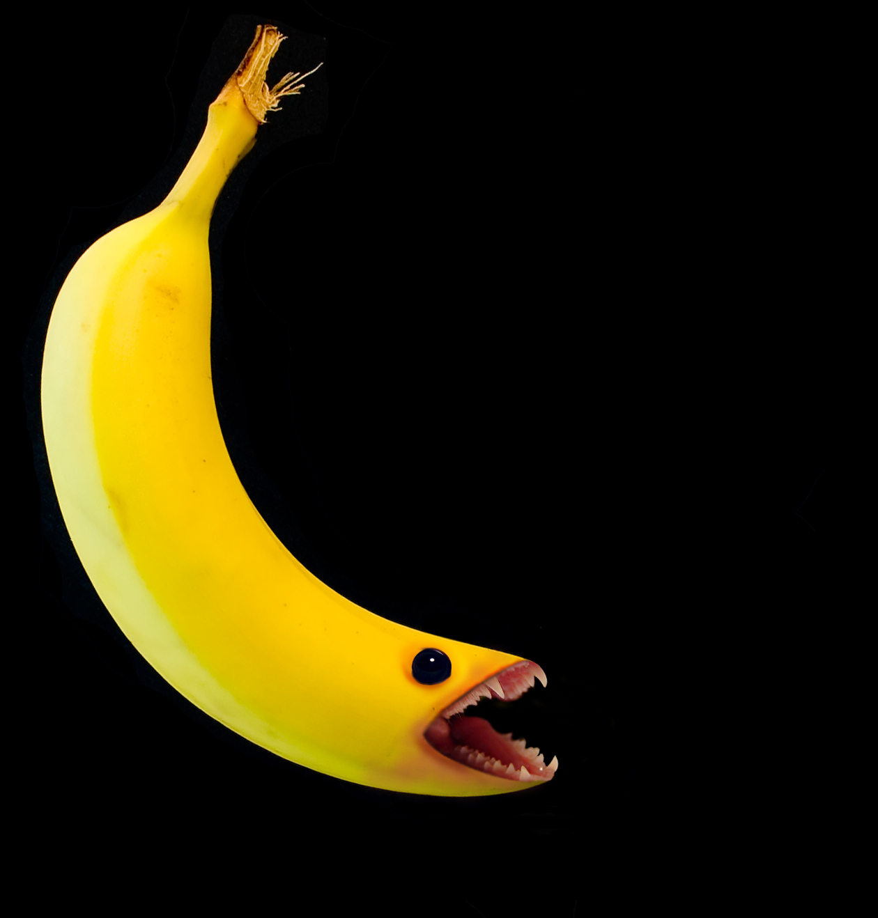 Photoshop Design by killrbeaver for DesignCrowd (Community Contests) | Design #8980960