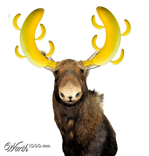 Photoshop Design by stanmircea