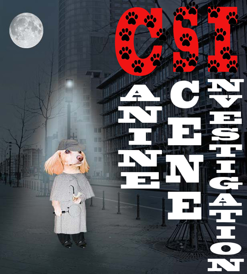 Photoshop Design by Doxieone for DesignCrowd (Community Contests) | Design #8986183