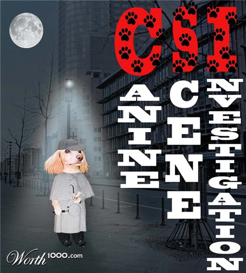 Photoshop Design by Doxieone