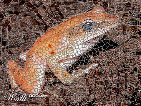 Photoshop Design by Shayml