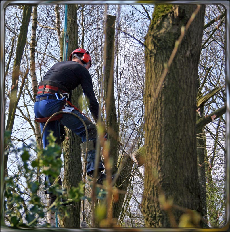 Fotografía por charizz para DesignCrowd (Community Contests) | Diseño #8985216