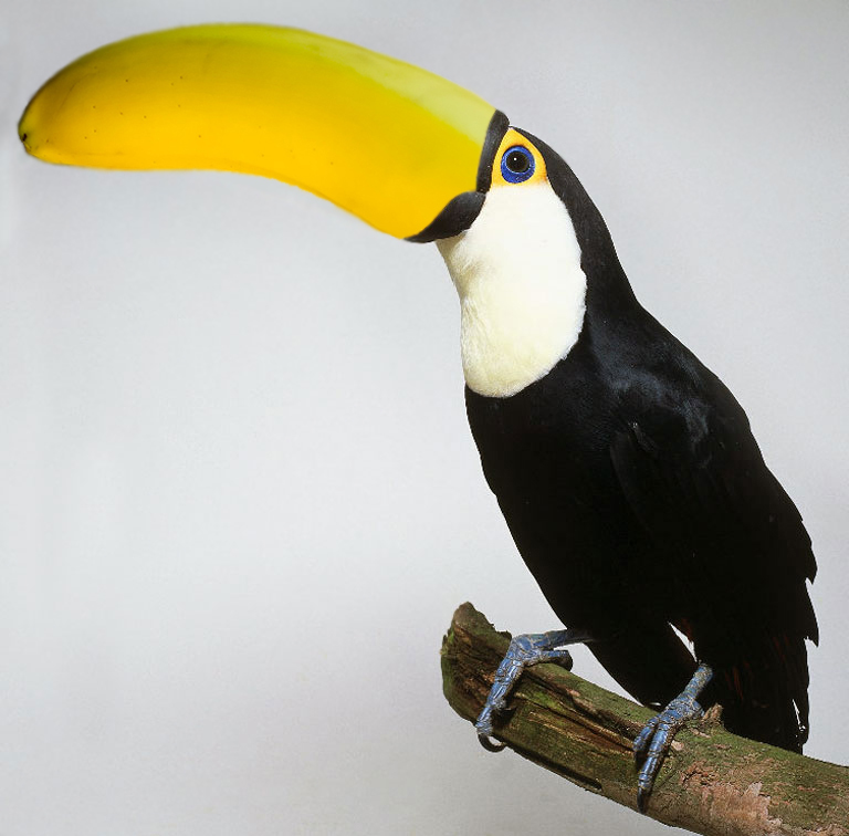 Design Photoshop par abrak1 pour DesignCrowd (Community Contests) | Design #8980997