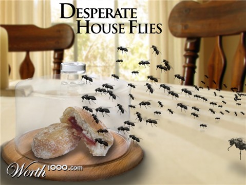 Photoshop Design by lucimine