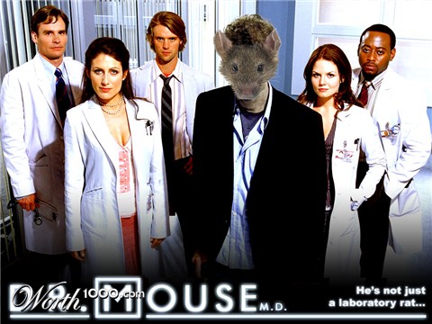 Photoshop Design by LordM8