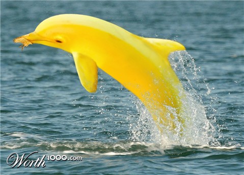 Photoshop Design by fanucci