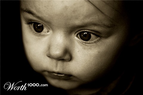 Photography by wiggster