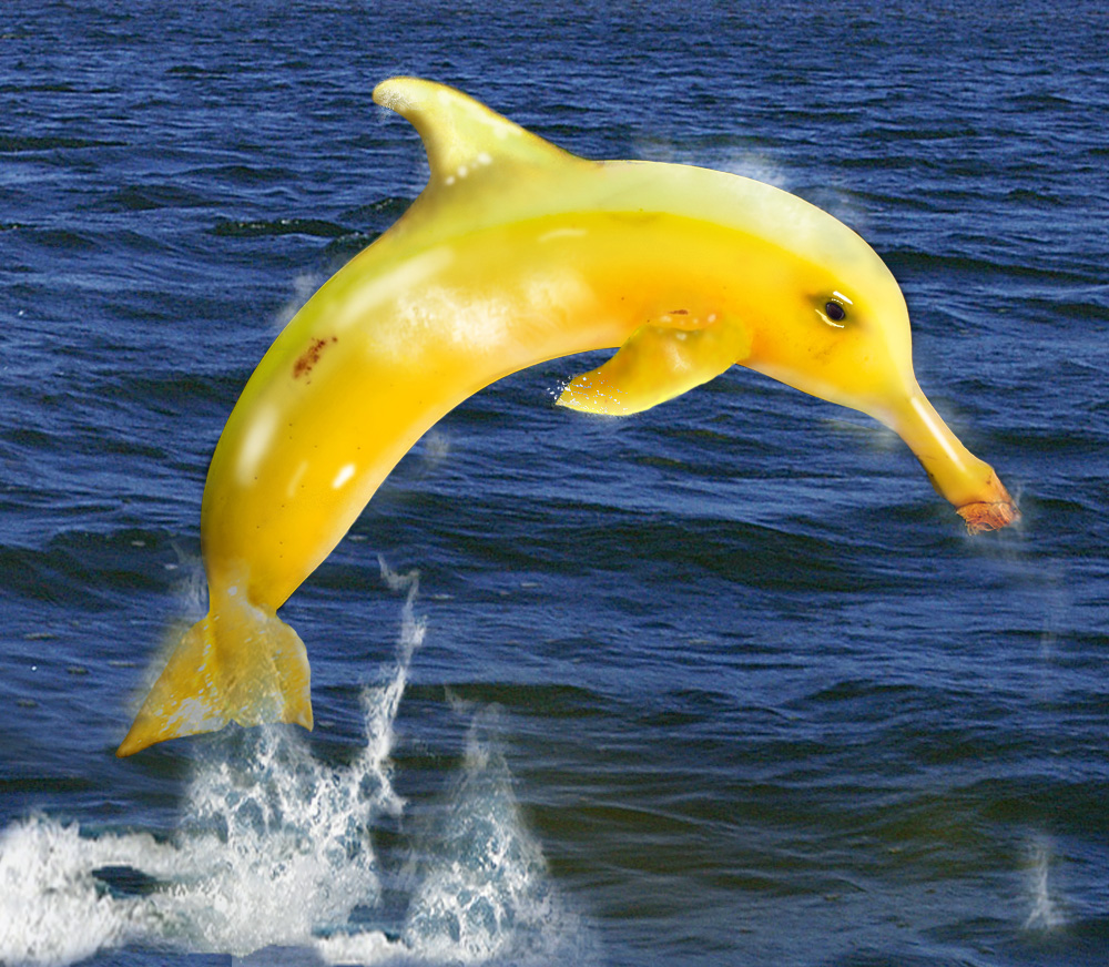 Design Photoshop par Mushon pour DesignCrowd (Community Contests) | Design #8981097