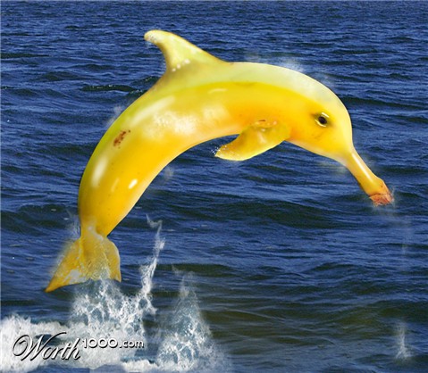 Photoshop Design by Mushon