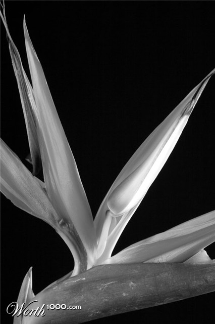 Photography by Yurasha