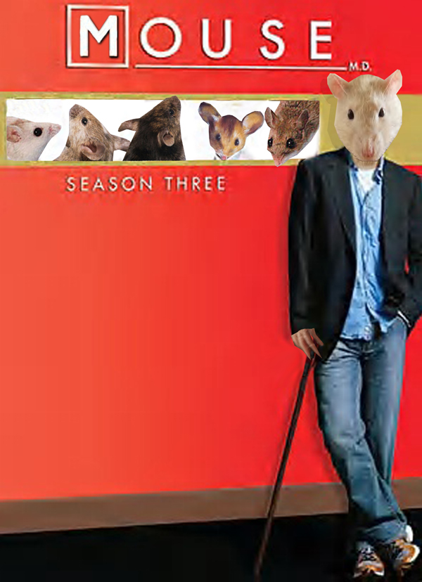 Photoshop Design by Chimmi for DesignCrowd (Community Contests) | Design #8986447