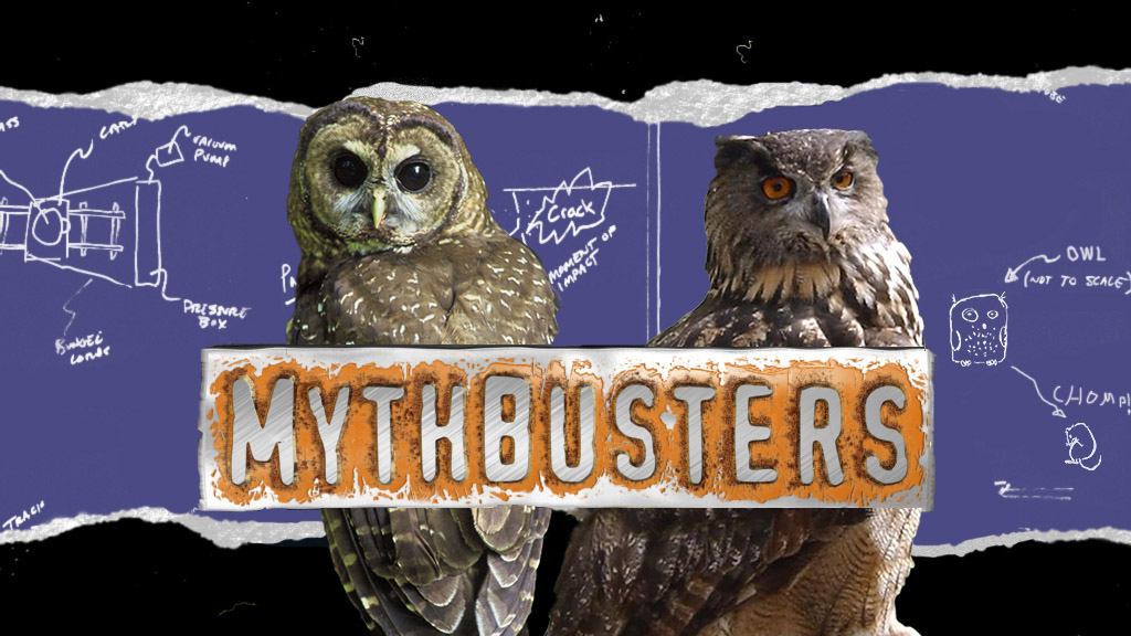 Design Photoshop par Kiloku pour DesignCrowd (Community Contests) | Design #8986380