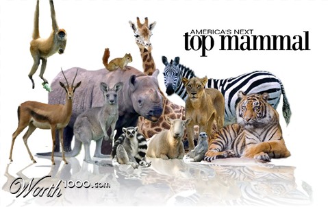 Photoshop Design by melidee