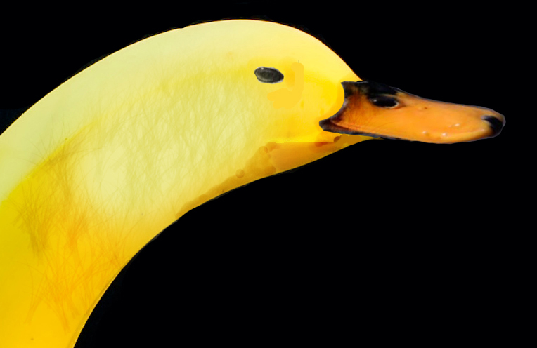 Photoshop-Design von chrcha26 für DesignCrowd (Community Contests) | Design #8981151