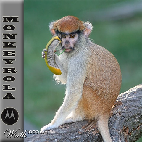 Photoshop Design by cobin31