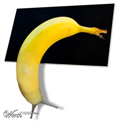 Photoshop Design by uwdannyboy