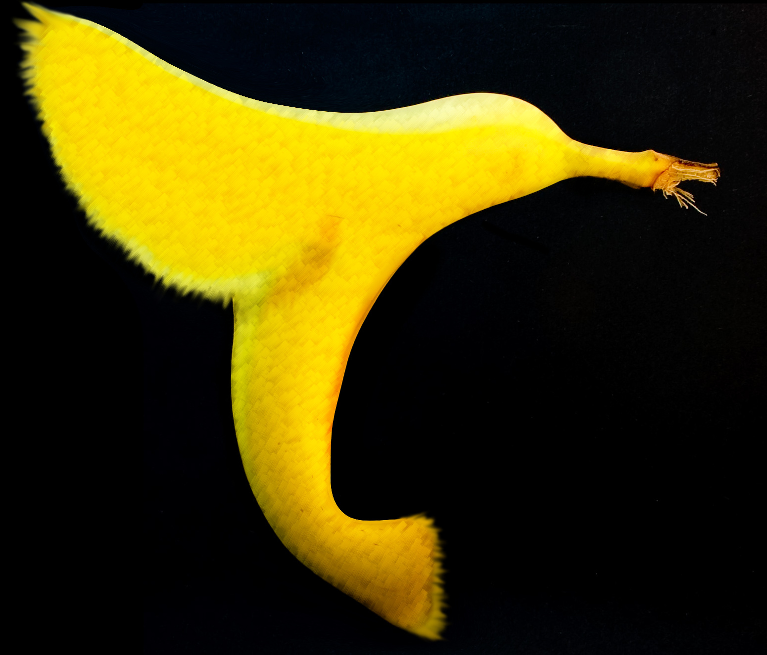 Photoshop Design by Stonee for DesignCrowd (Community Contests) | Design #8981142