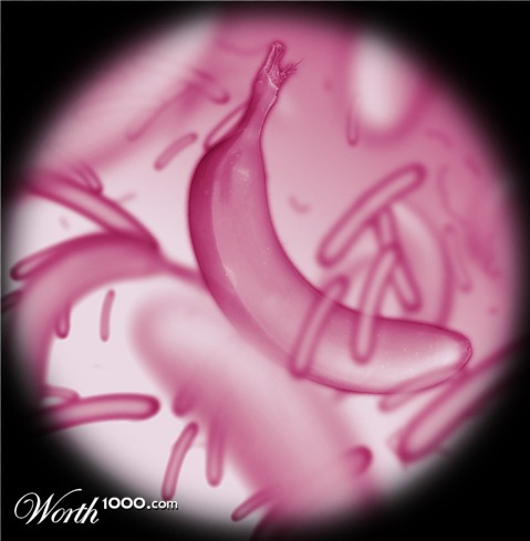 Photoshop Design by Pathis