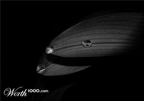 Photography by amitaf