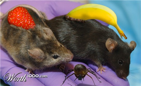 Photoshop Design by bobber1