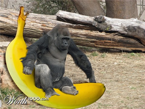 Photoshop Design by DanShark