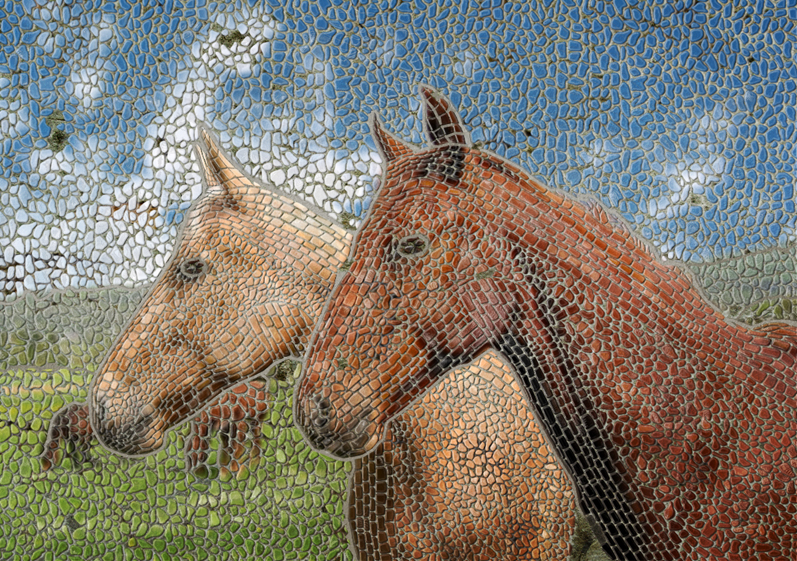 Photoshop Design by magnusx2 for DesignCrowd (Community Contests) | Design #8981434