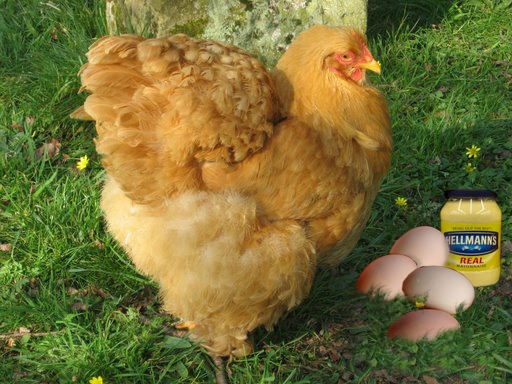 Diseño de Photoshop por swanhilde para DesignCrowd (Community Contests) | Diseño #8979536