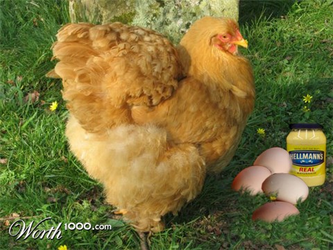 Photoshop Design by swanhilde